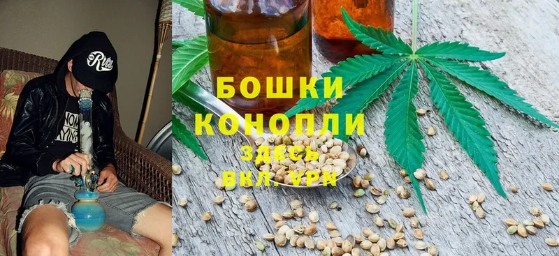 Марихуана THC 21%  Костомукша 